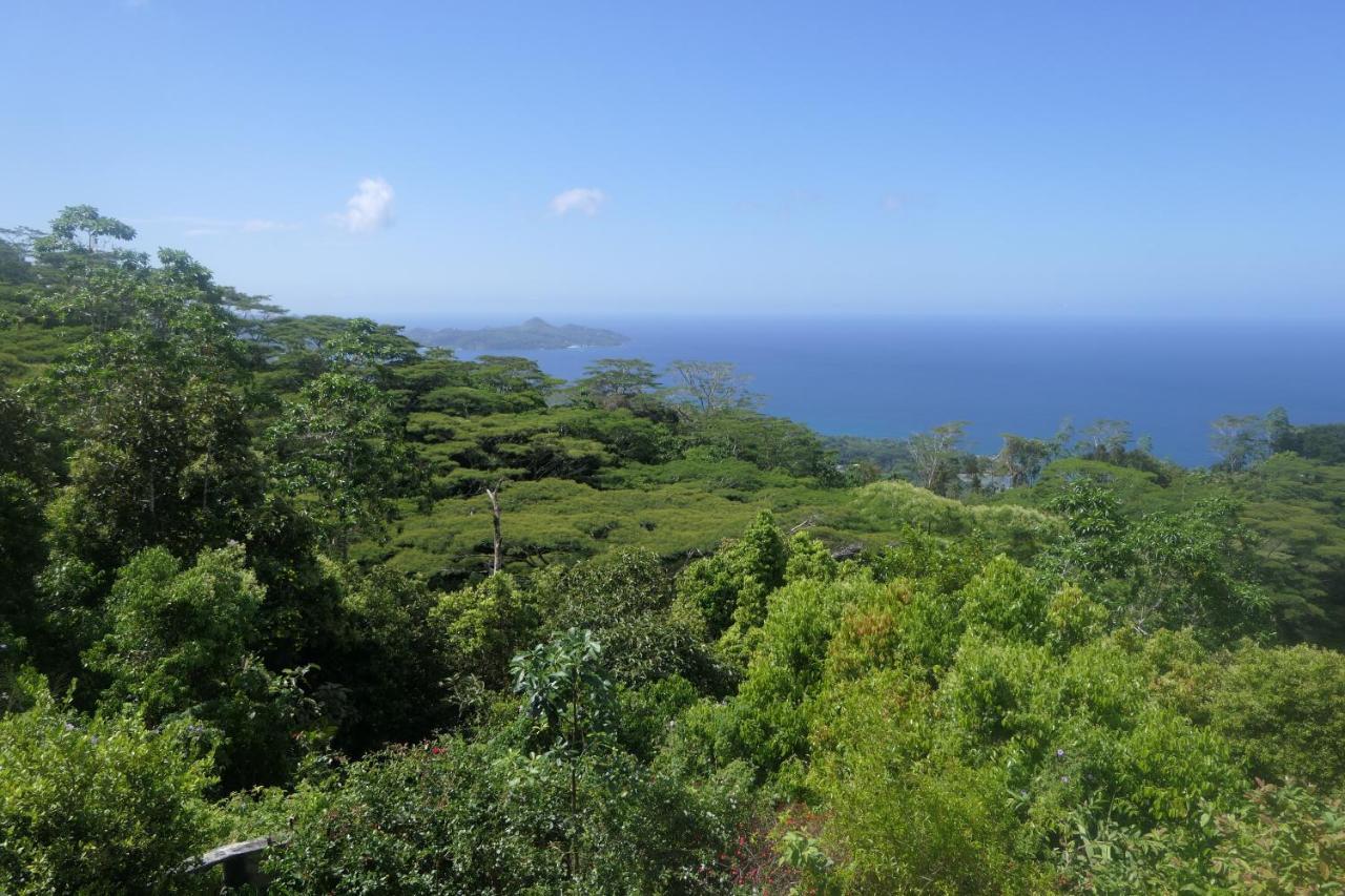 Tropical Garden Self Catering Victoria Exterior foto