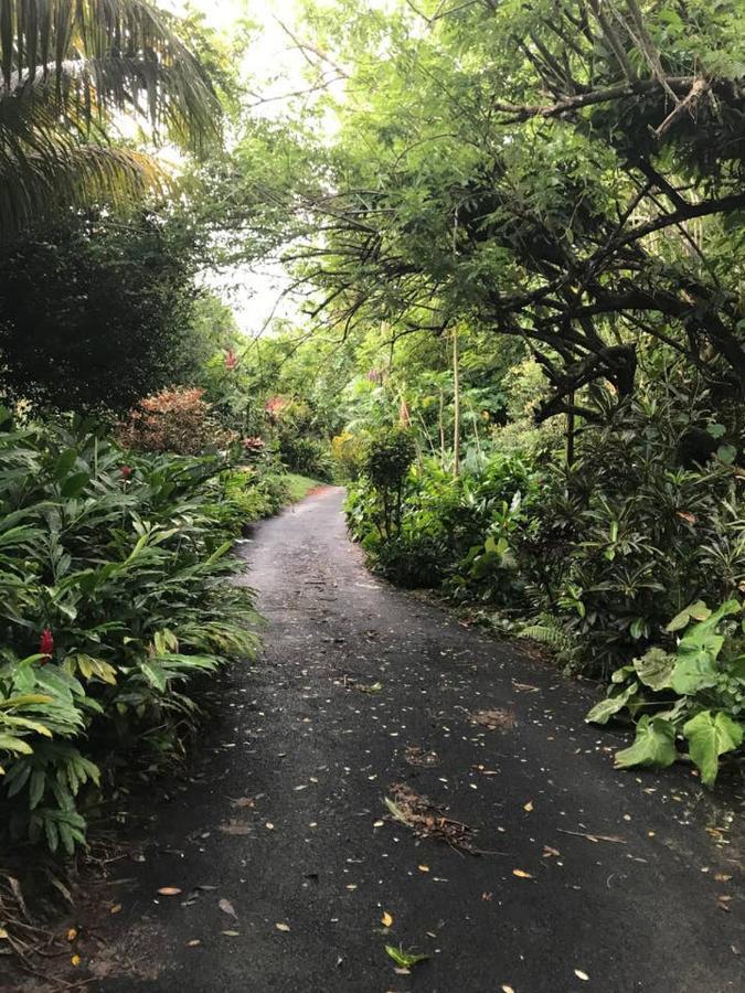 Tropical Garden Self Catering Victoria Exterior foto