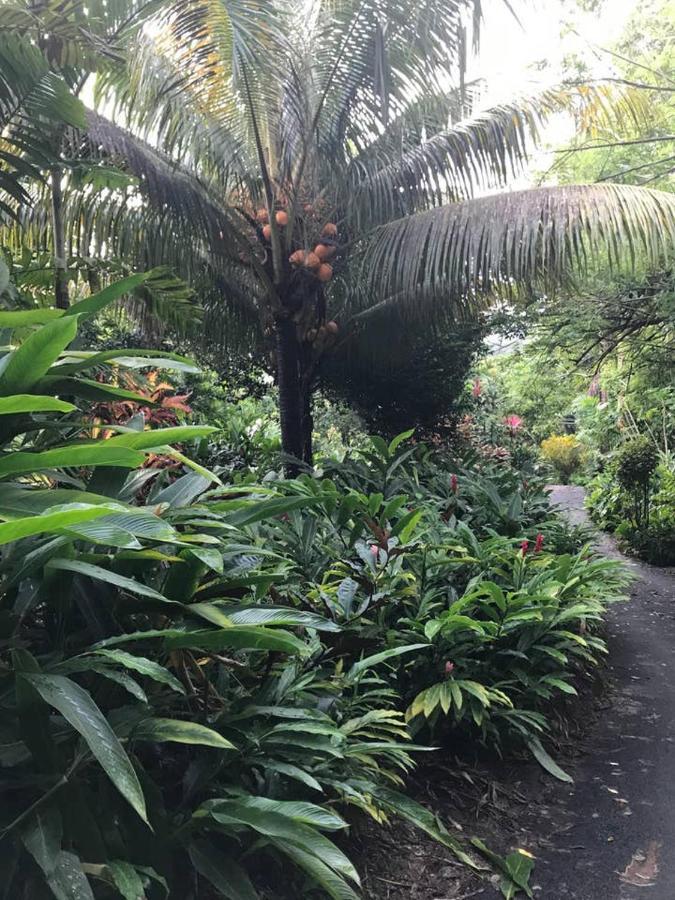 Tropical Garden Self Catering Victoria Exterior foto